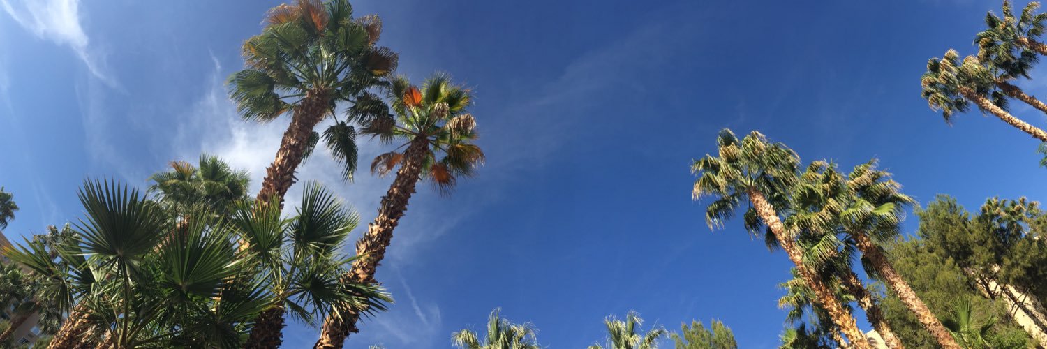 foxpamelaj's profile banner image
