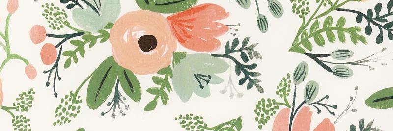 FionaDahl_'s profile banner image