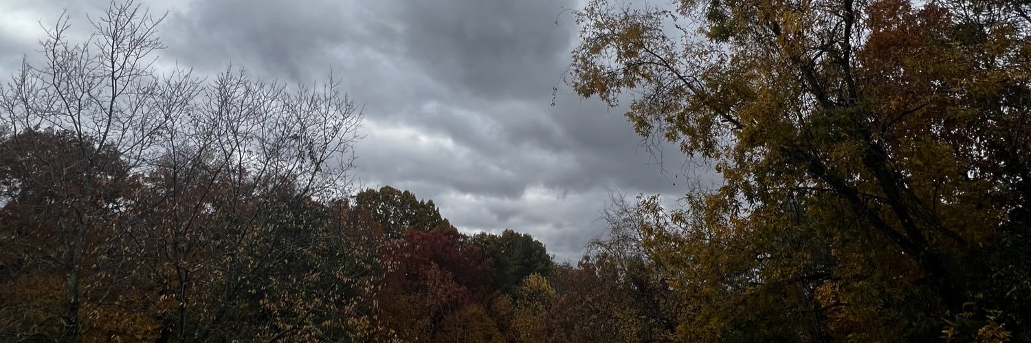 Cody Thompson banner