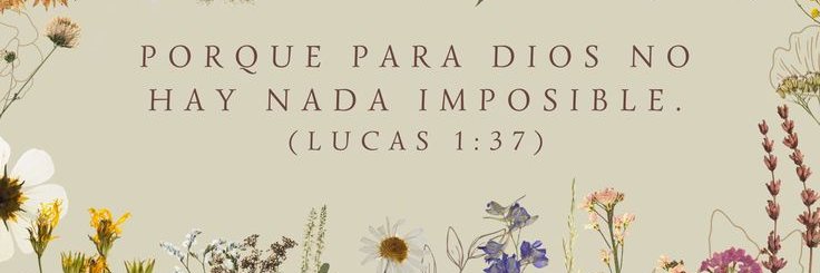 MecalcoMoon's profile banner image