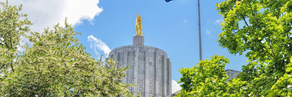 OR House Democrats banner