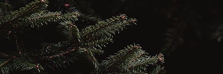 k_nuggs's profile banner image