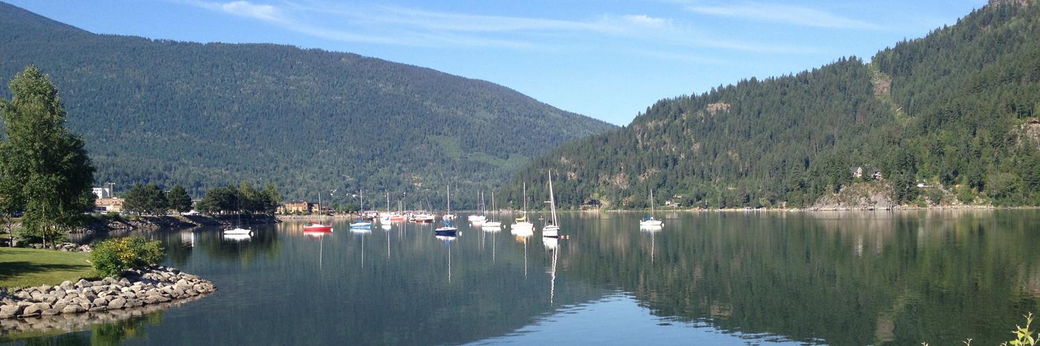 The Nelson Daily banner