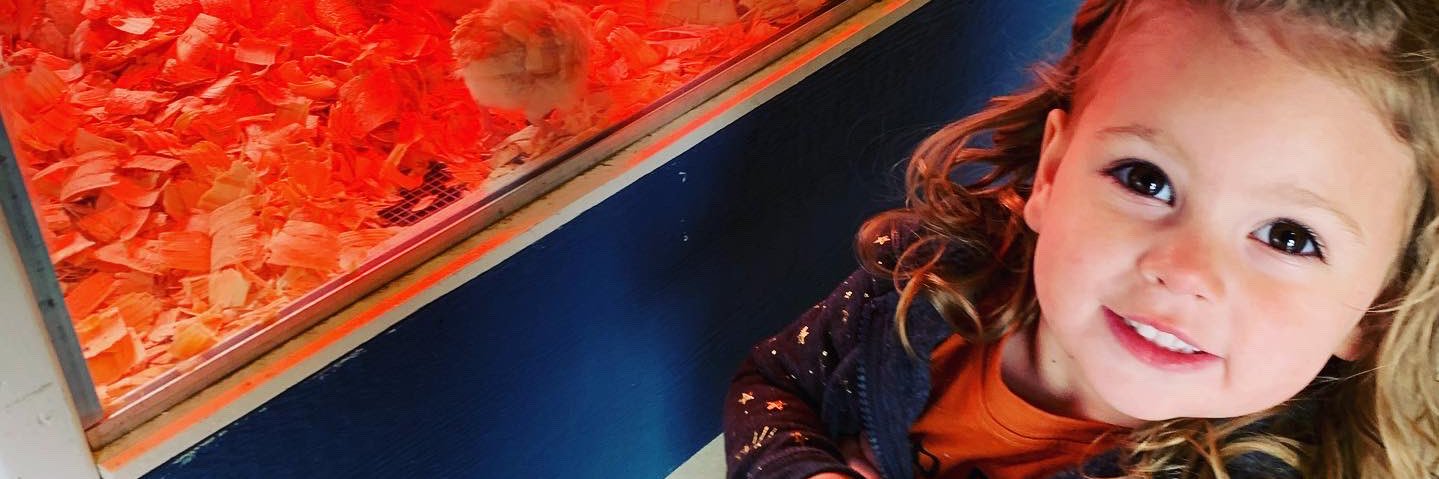 sunflowerbabbbe's profile banner image