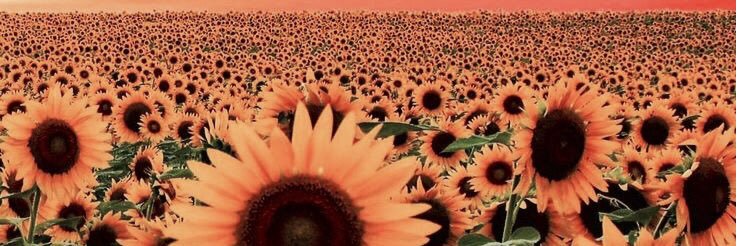 ruby_vasquez's profile banner image