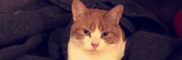 bomo1969 Profile Banner