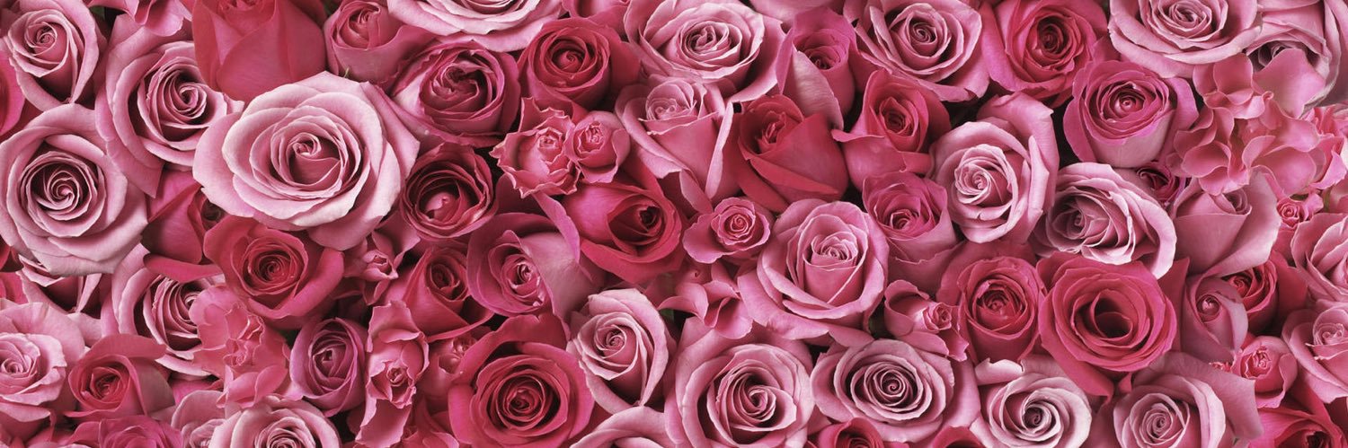lovable_gilly's profile banner image