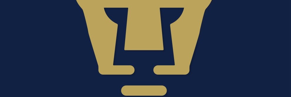 jorge rivera banner