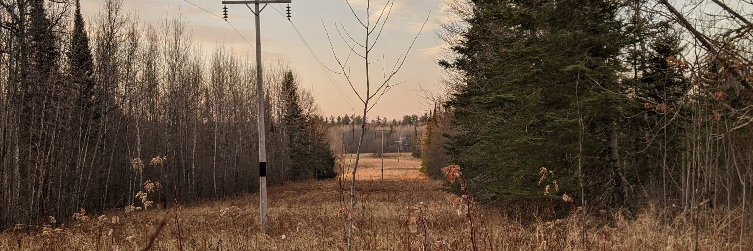 errantspencer's profile banner image