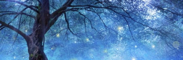 Adrienne Shanfield banner