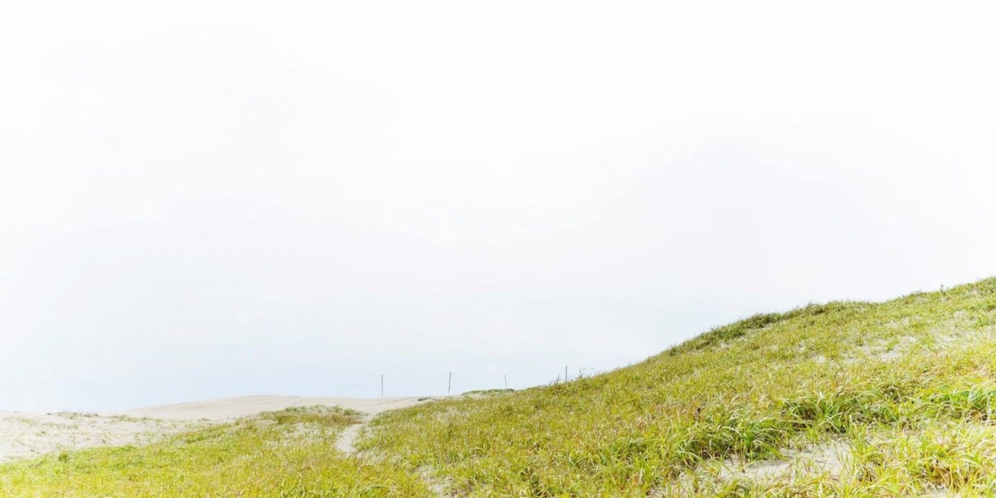 taaabw2's profile banner image