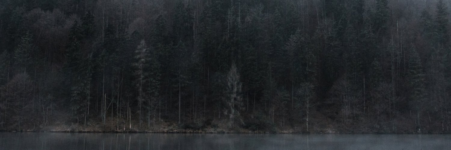 colemunoz5's profile banner image