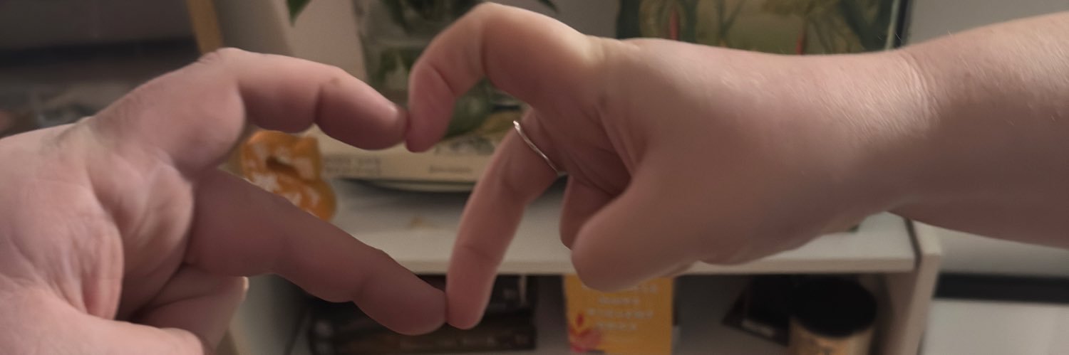 Biskyriscuits97's profile banner image