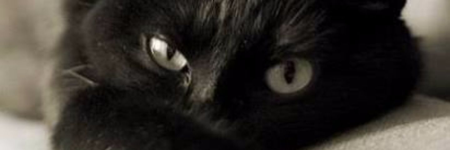 kisuke22892274's profile banner image