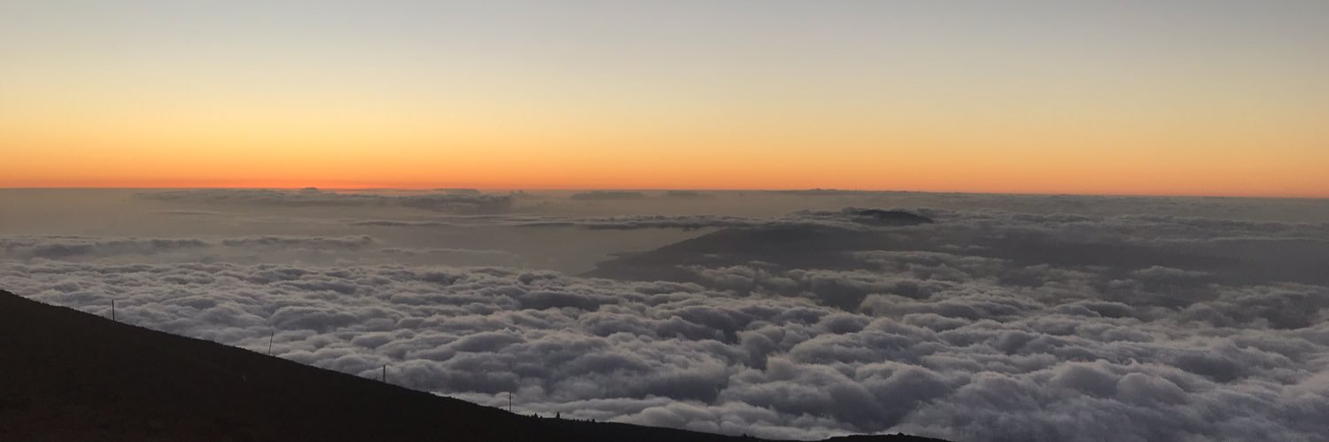 SavvyBogss's profile banner image