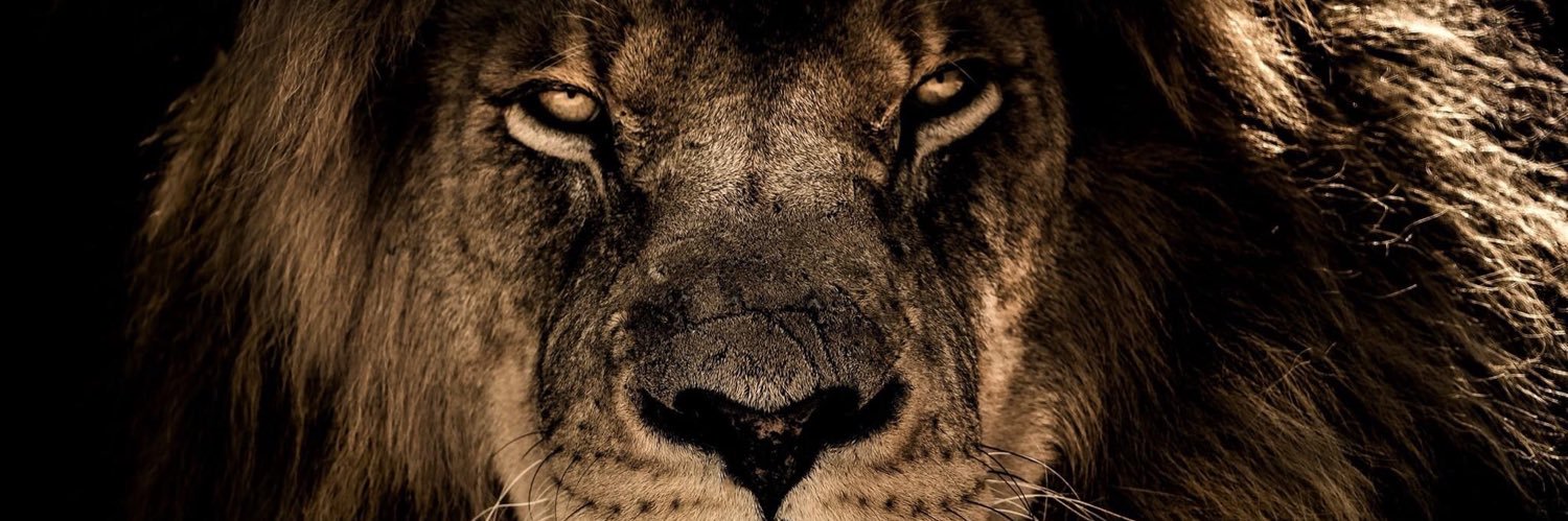 KikeCalderon29's profile banner image