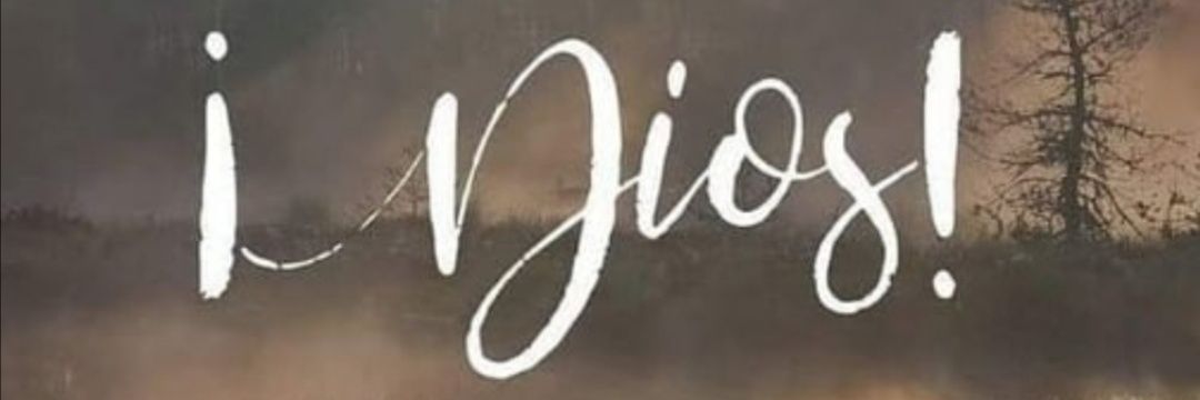 Catamo94's profile banner image