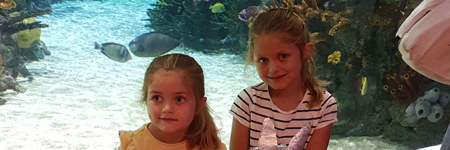 kate chatterton banner