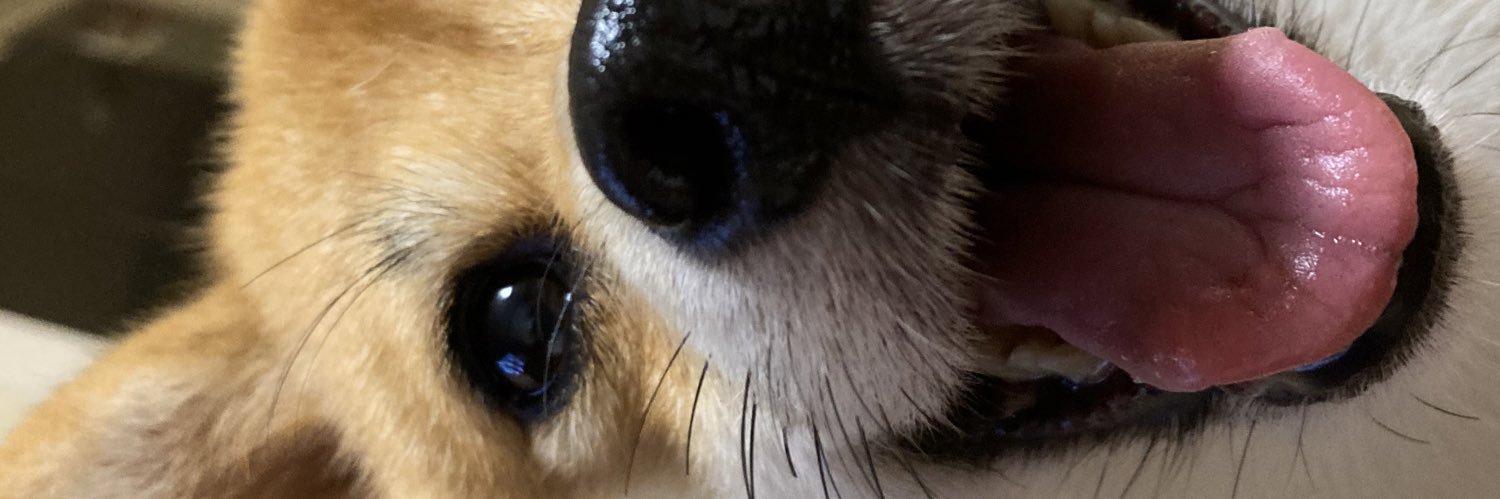 kS5_22's profile banner image