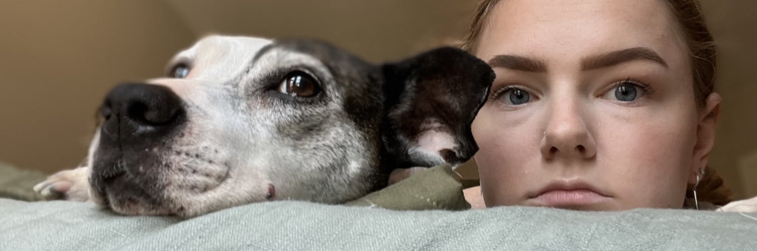 dani_groff's profile banner image