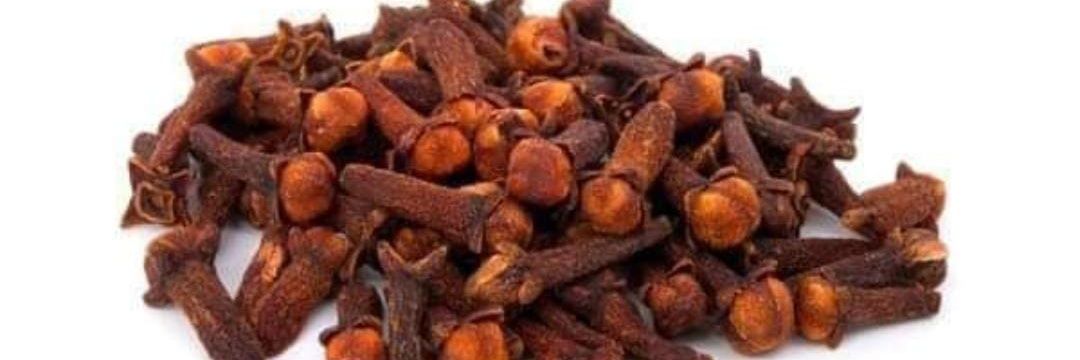 Cláudia Alves banner