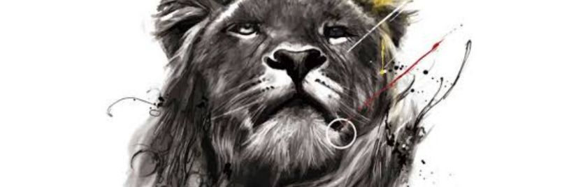 Driicafonseca's profile banner image