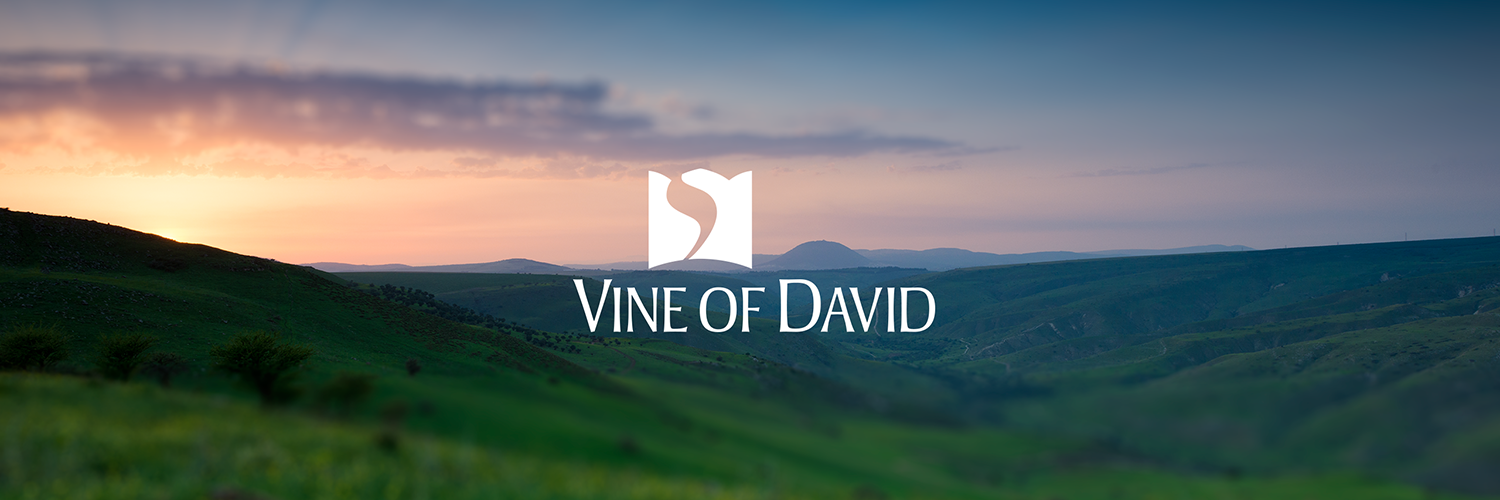 vineofdavid's profile banner image
