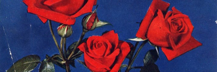 S_Sor_99's profile banner image