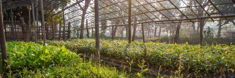 Derrick Emsley banner