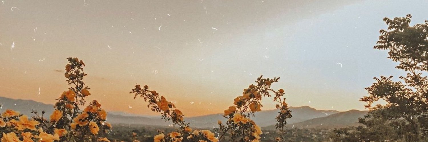 roxyholly97's profile banner image