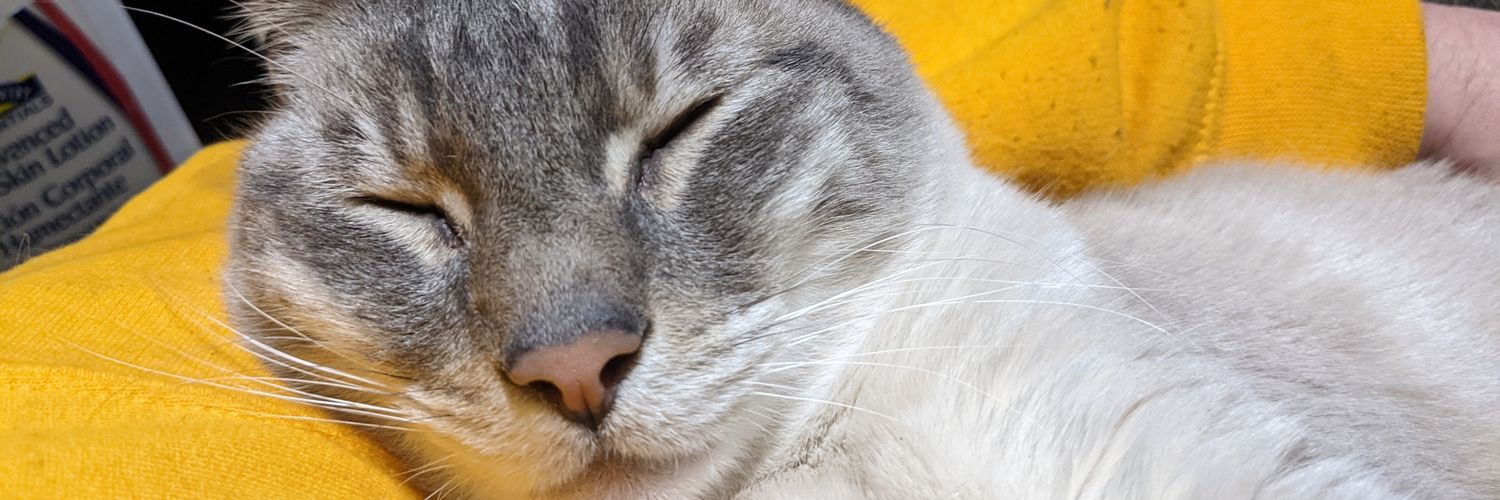 buzzkillie's profile banner image