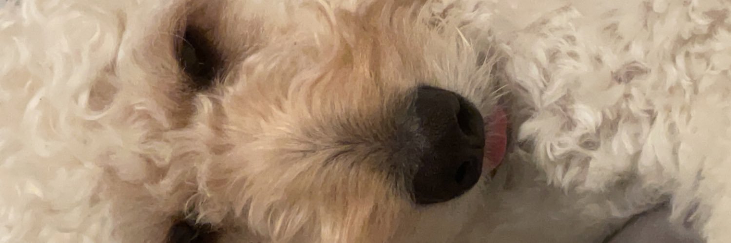 parkerhamernik's profile banner image