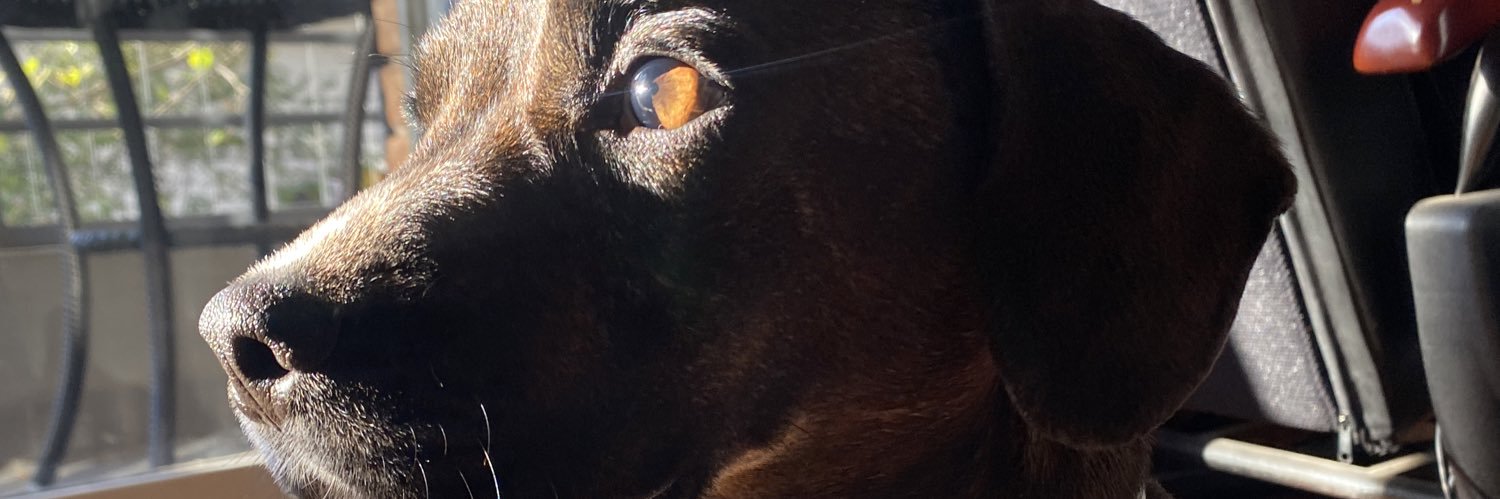 sofmanzanal's profile banner image