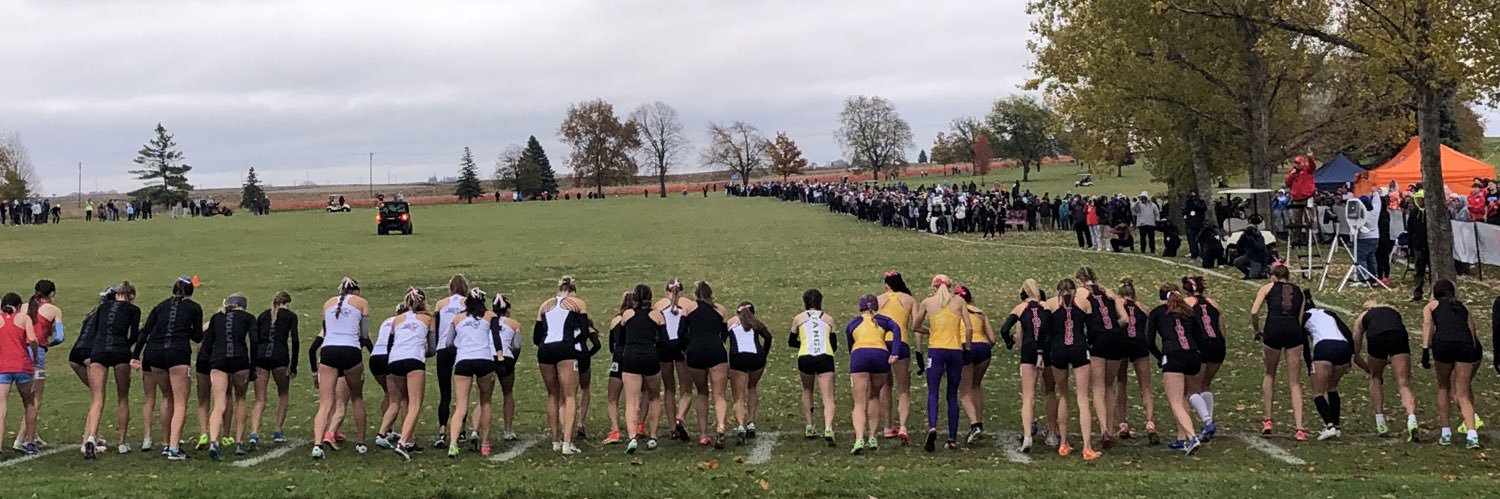 hempstead ladies XC banner