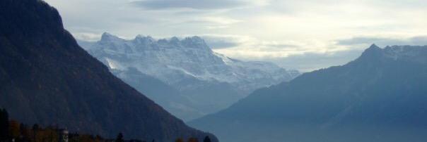 Michelle Wells banner