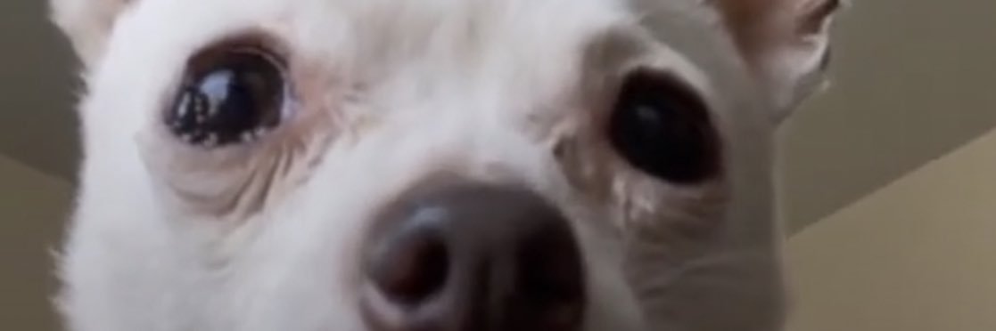 Zowenski's profile banner image