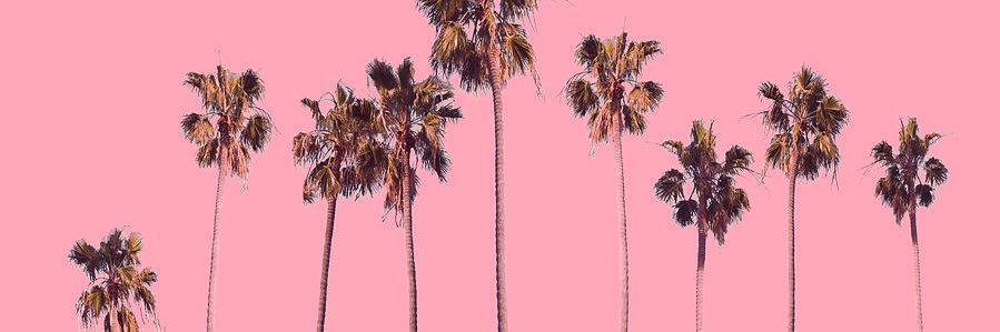 mgartrell54's profile banner image