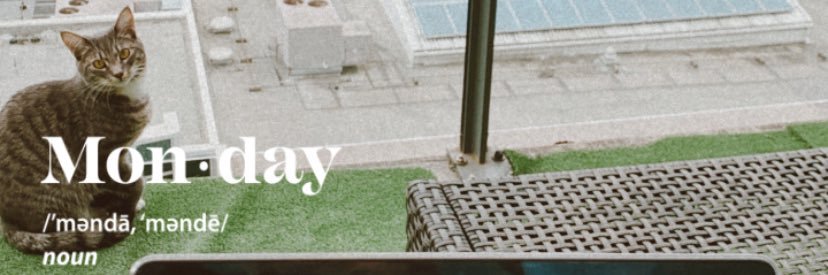 MorganPlayle's profile banner image