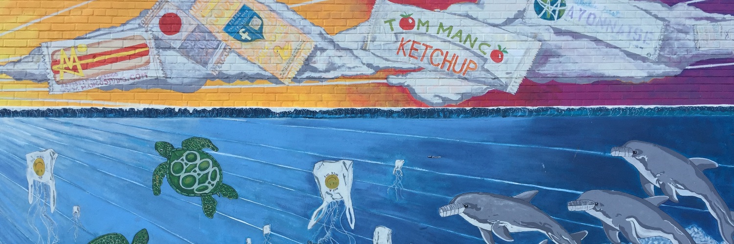 turtltom's profile banner image