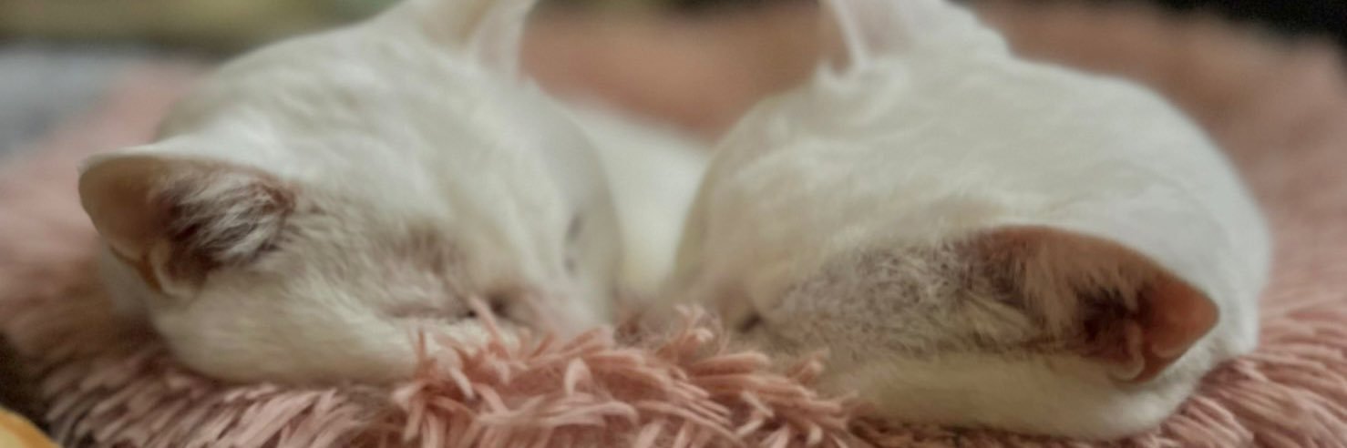 nstr_10's profile banner image