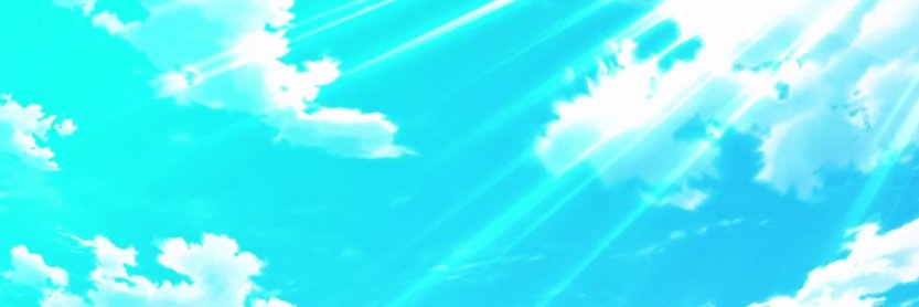 snan banner