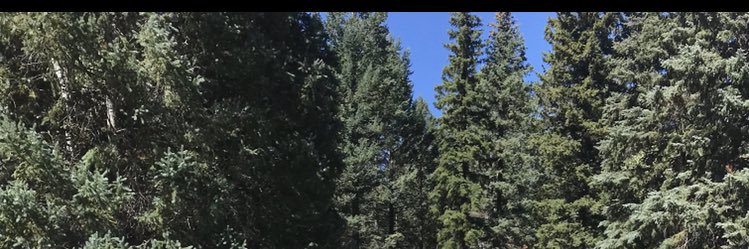 KeeganKlein's profile banner image