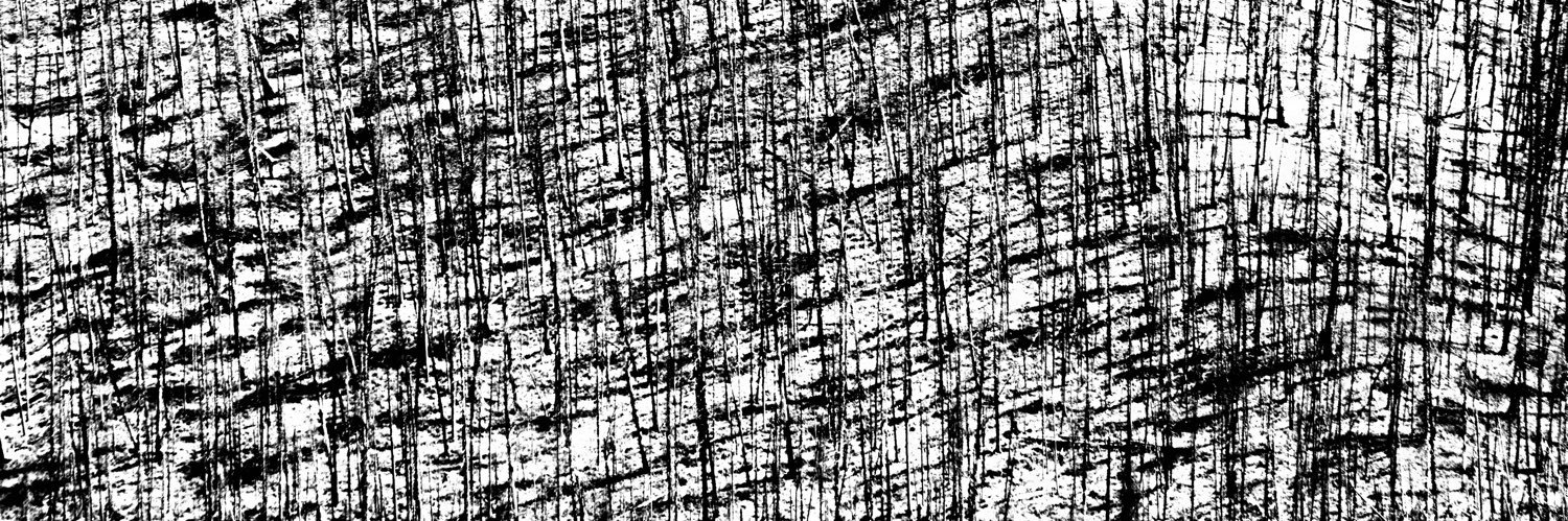 __f__u__c__'s profile banner image