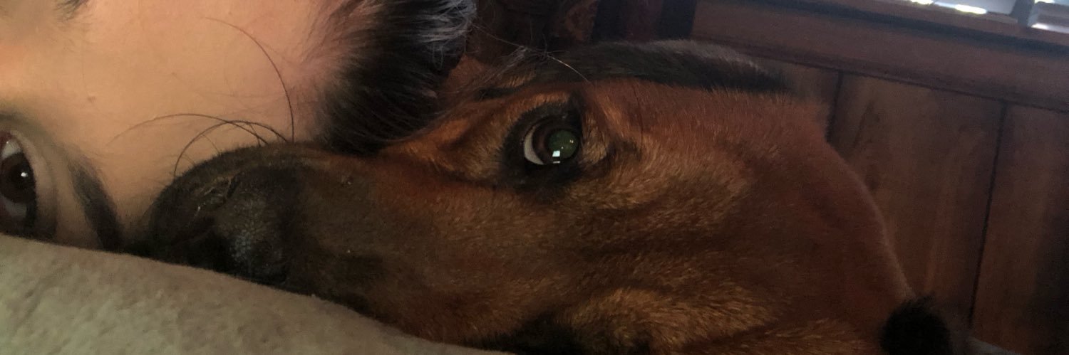 Lexi__Scott's profile banner image