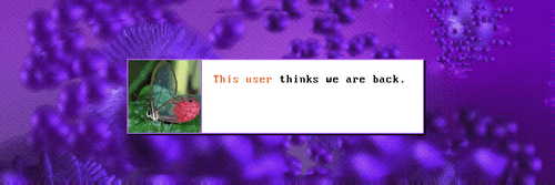 CamilloEth's profile banner image