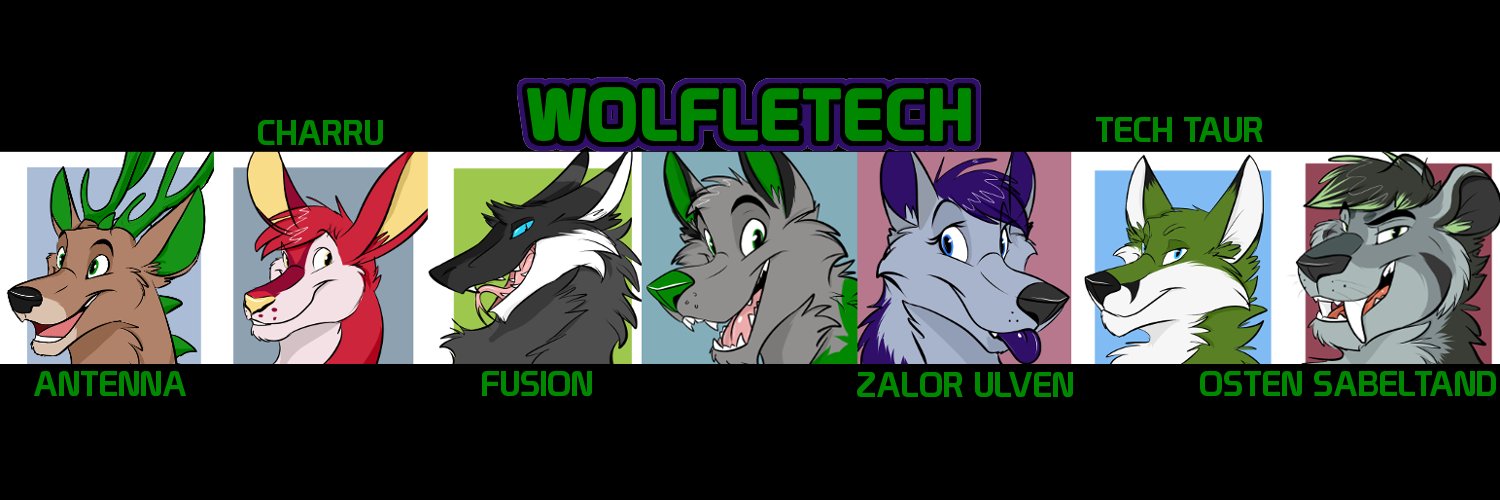 Wolfletech's profile banner image