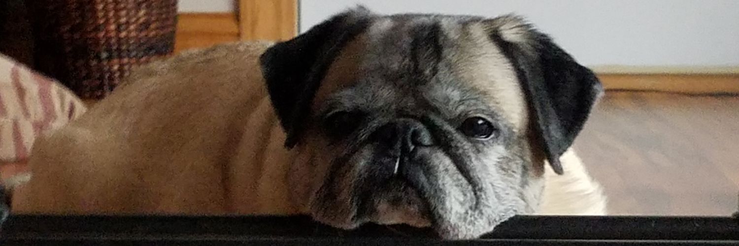 itsmando20's profile banner image
