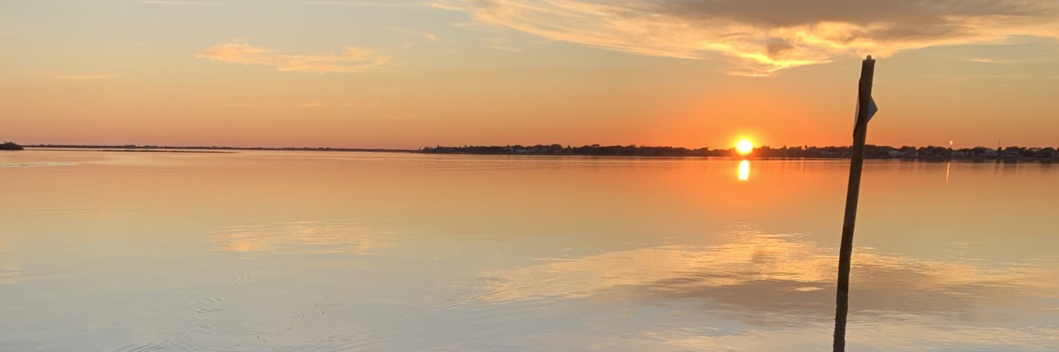 MilamSimons's profile banner image