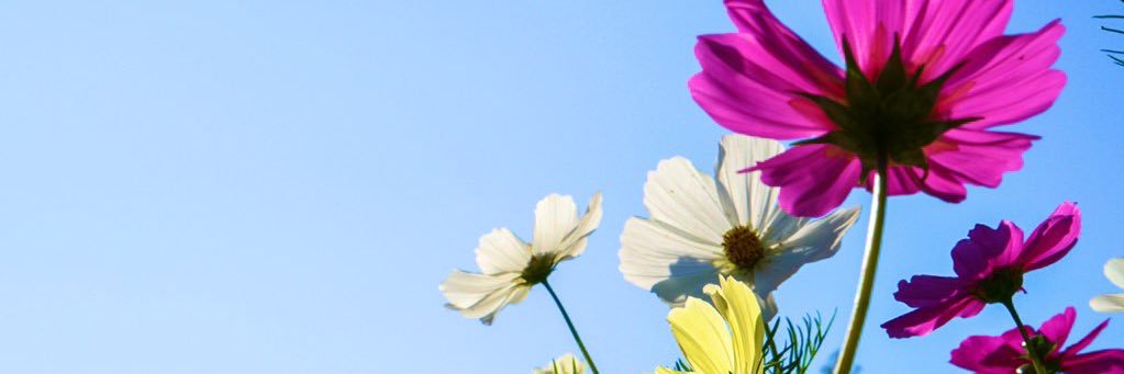 teada_6261's profile banner image