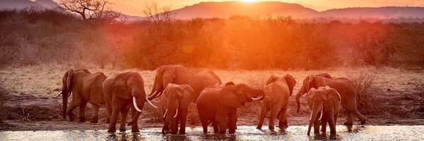 agramlich78 Profile Banner